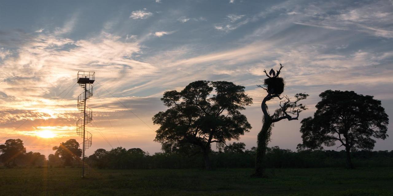 Southwild Pantanal Lodge Pixaim Exterior foto