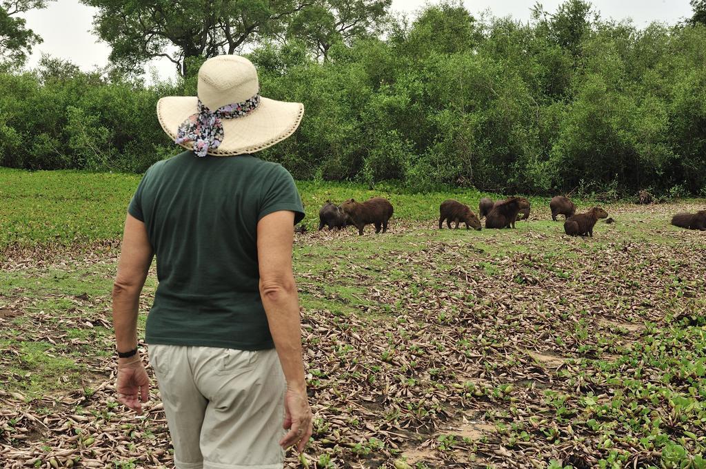 Southwild Pantanal Lodge Pixaim Exterior foto