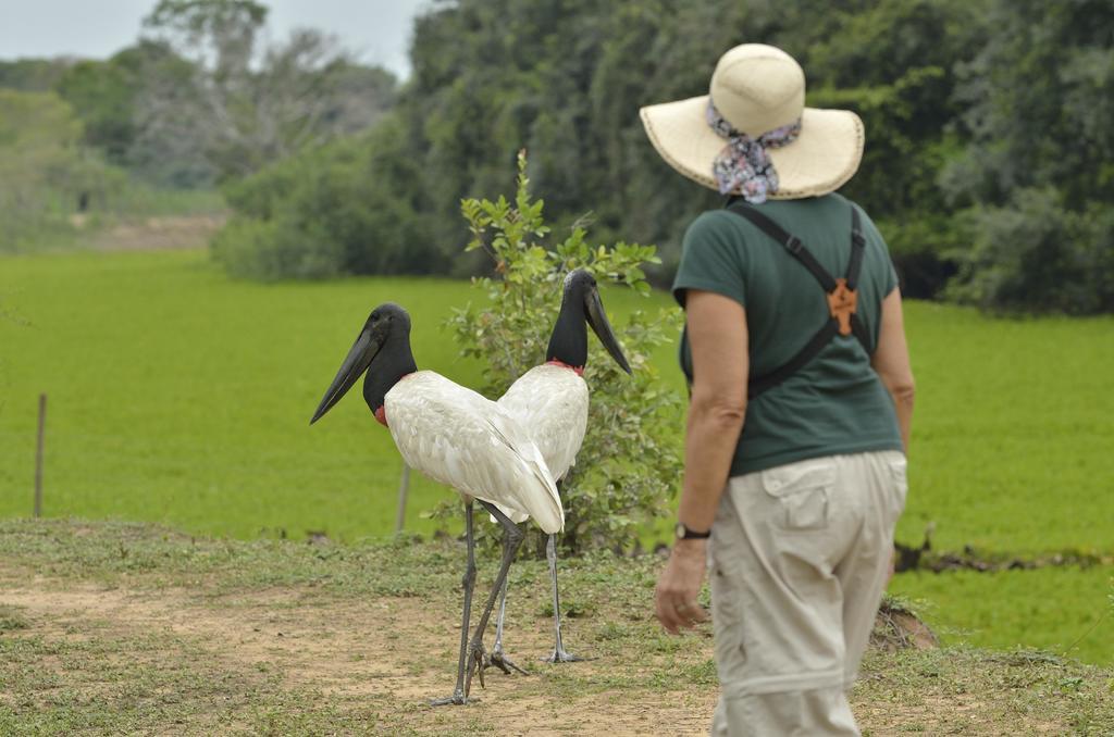 Southwild Pantanal Lodge Pixaim Exterior foto